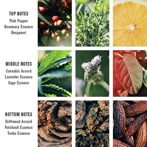 Baxter of California BOC-PC-EDP - Pacific Cannabis Eau de Parfum 100ml